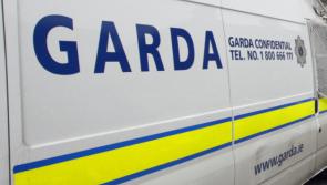 Gardai arrest 17 for immigration offences during Covid social welfare fraud search