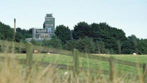 Cooley Distillery development granted planning permission by Louth County Council