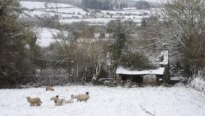 CHILLING: Weather warning issued - Dundalk to be hit hard in coming days