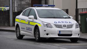 Concerns expressed  at depletion of Louth Garda Fleet
