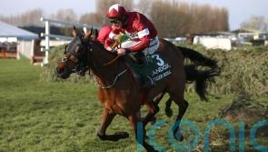 Tiger Roll back in action on Saturday for Navan Handicap Hurdle
