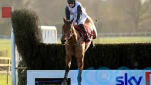 Bob Olinger set to skip Dublin Racing Festival and head straight to Cheltenham