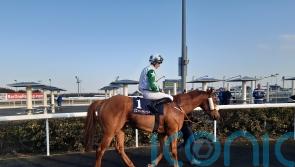 Ever popular Harry's Bar helps Ado McGuinness to valuable Dundalk double 