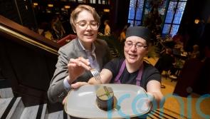 Bewley’s 20-year cake mystery solved 