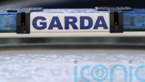 Two men charged after gardai interrupt suspected burglary at  industrial park