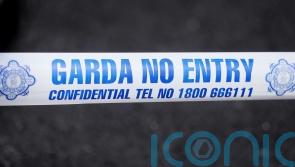 Man in 20s dies after being hit by car in Co Kildare