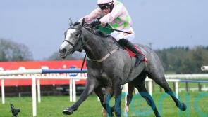 'Found a good one' - Lossiemouth makes Fairyhouse splash on Irish debut