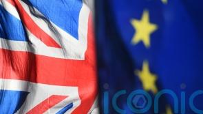 Progress being made on protocol deal but difficulties remain, says Sefcovic