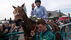 Honeysuckle to have Mares’ Hurdle final swansong at Cheltenham