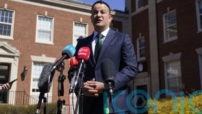 Leo Varadkar to thank Joe Biden for support on Brexit at White House