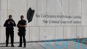 McEntee ‘certainly supporting’ Special Criminal Court