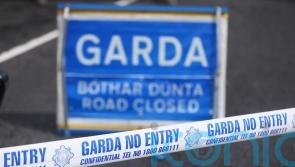 Driver, 17, dies in crash in Co Monaghan