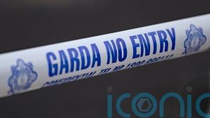 Man arrested after body found in Co Kildare