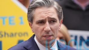 Harris’s call for review of bulk-purchase of homes criticised as ‘spoof’