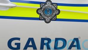 Man arrested by gardai investigating organised retail theft