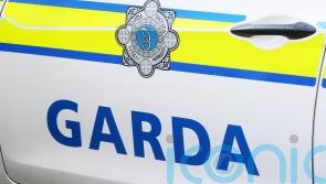 Probe launched into death of man in Co Wicklow