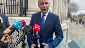 EU response to tariffs will be ‘strategic’ to avoid more damage – Irish premier 