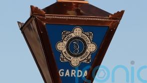 Garda seriously injured after van driven at them in Co Louth