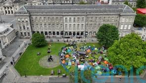 Trinity College Dublin to divest from links with Israeli universities and firms