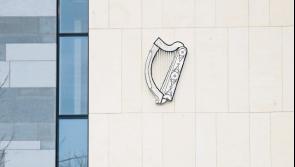 Pancake mix thrown over dentist&rsquo;s car during &lsquo;campaign of harassment&rsquo; by Irish couple
