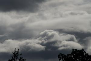 Louth Weather: Remaining dull and damp with overcast conditions