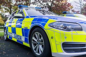 Fall in thefts but rise in other offence types in Dunleer