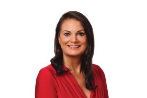 Council told of Drogheda's 'chicken and egg' conundrum