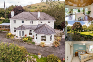 PICTURES: Take a peek inside this stunning six-bedroom Louth home on the market for €630k
