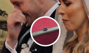 WATCH: Louth photographer's video of mouse on altar at Irish wedding goes viral
