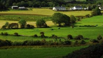 Land prices continue to rise in Louth as demand stays strong