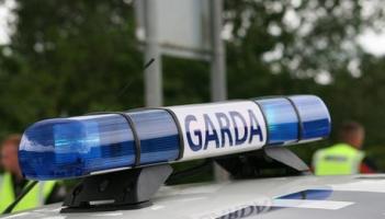 Garda&iacute; arrest man following hit and run in Louth village