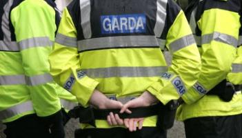Garda&iacute; probe paint damage at north Louth property