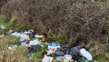 Louth County Council told to 'make an example of someone' to curb dumping on Racecourse Road