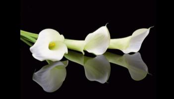 Deaths in Dundalk - Friday 6 February 2026