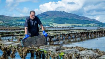 Follow the Flavour: Explore County Louth’s Scenic Seafood Trail with Sea Louth