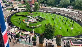 Inside Track: A place in Royal Ascot parade ring could have been mine
