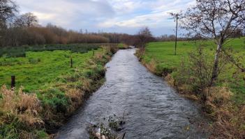 Funding for salmon and sea trout projects in Louth