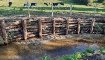 Louth rivers benefit from €108,000 habitat improvement works