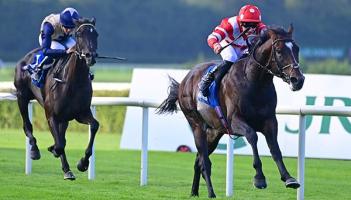 Inside Track: Frank’s horse survives a bump on way to big Leopardstown win
