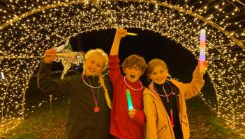 Adventure Lights is back at Skypark Carlingford bringing loads of family fun