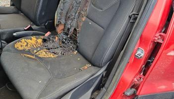 Gardaí warn parents as teenagers plan Halloween meet-ups in north Louth