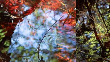 A film celebrating Ireland&rsquo;s bogs coming to Dundalk's An T&aacute;in Arts Centre