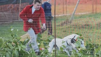 Inside Track: Cheers go up as local runner qualifies for Clonmel