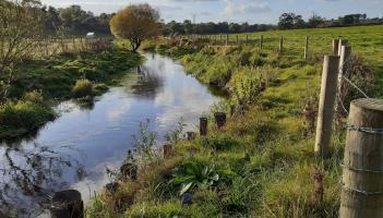 Louth rivers among beneficiaries of &pound;1m fisheries improvement programme