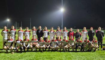 Louth hurlers fall to defeat against the Mournemen