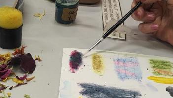 Dundalk artists invited to The Creative Brew for eco-dyeing workshop