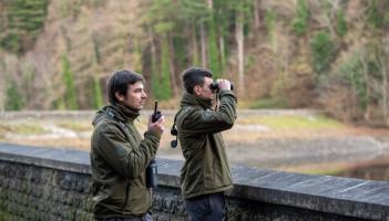 IFI launches new recruitment drive for seasonal posts in Louth