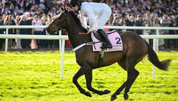 Inside Track: Henderson&rsquo;s horse may have lost his constitution for hurdling