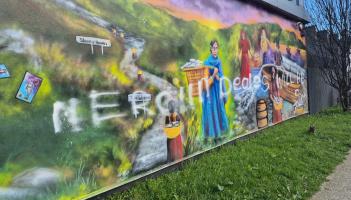 Cooley Peninsula Community Alert 'disgusted' after murals vandalised in Omeath