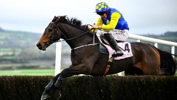 Inside Track: Oscar&rsquo;s Brother might answer the National question